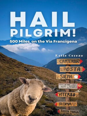 cover image of Hail Pilgrim!